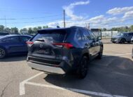 Toyota RAV4 2023